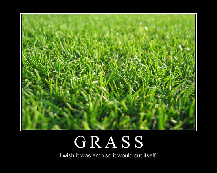 Emo Grass