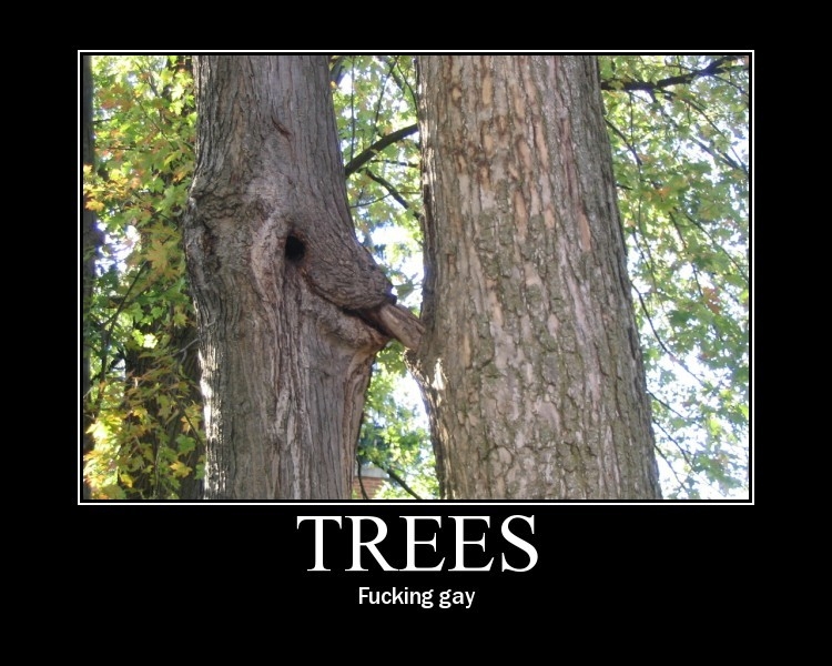 trees