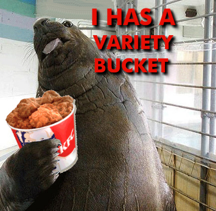 I has a variety bucket