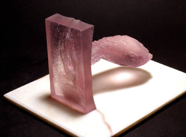 internal cast of a vagina