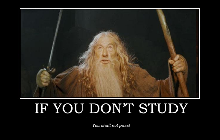 If you don't study