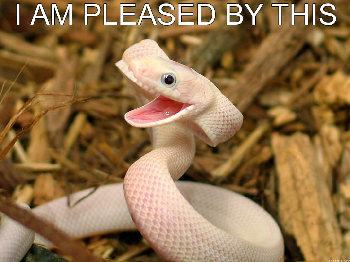 pleased snake