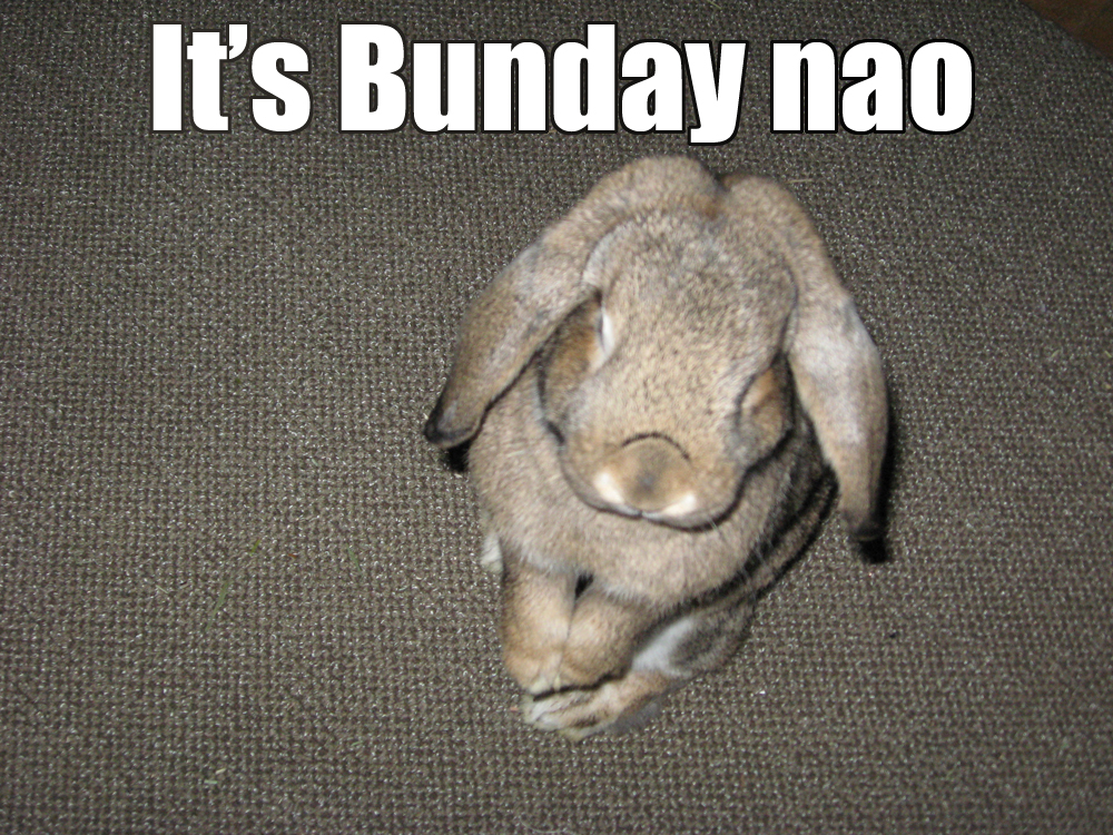 Bunday