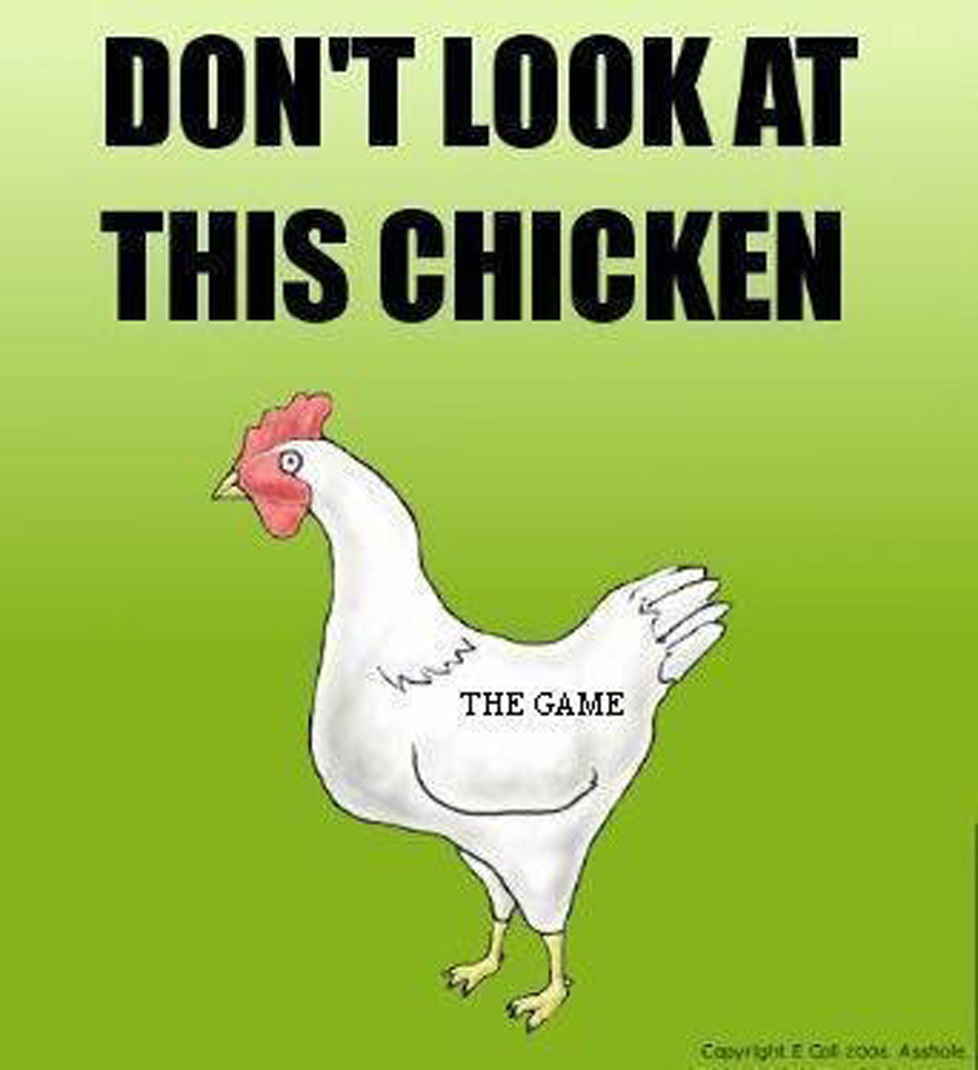 dont look at this chicken