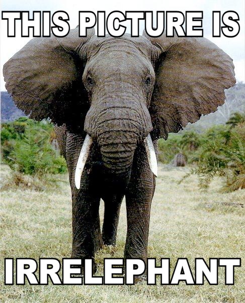 elephant irrelevant