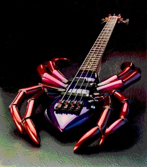 spider base