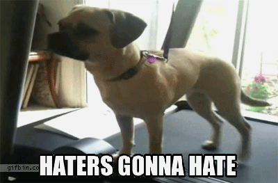 Haters gonna hate puppy