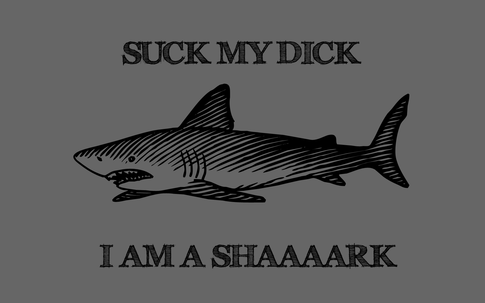 suck my dick i am a shark wallpaper