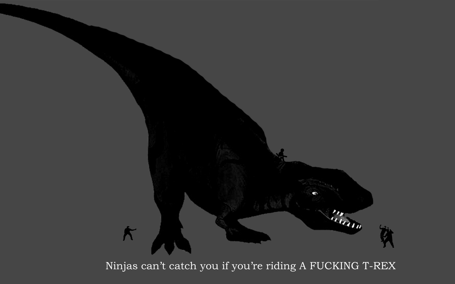 ninjas dinosaurs wallpaper